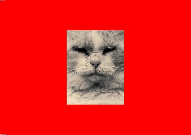 ZyfYQhMu